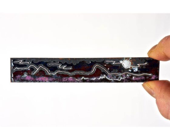 Lieta Marziali - Maya - Japonica landscape